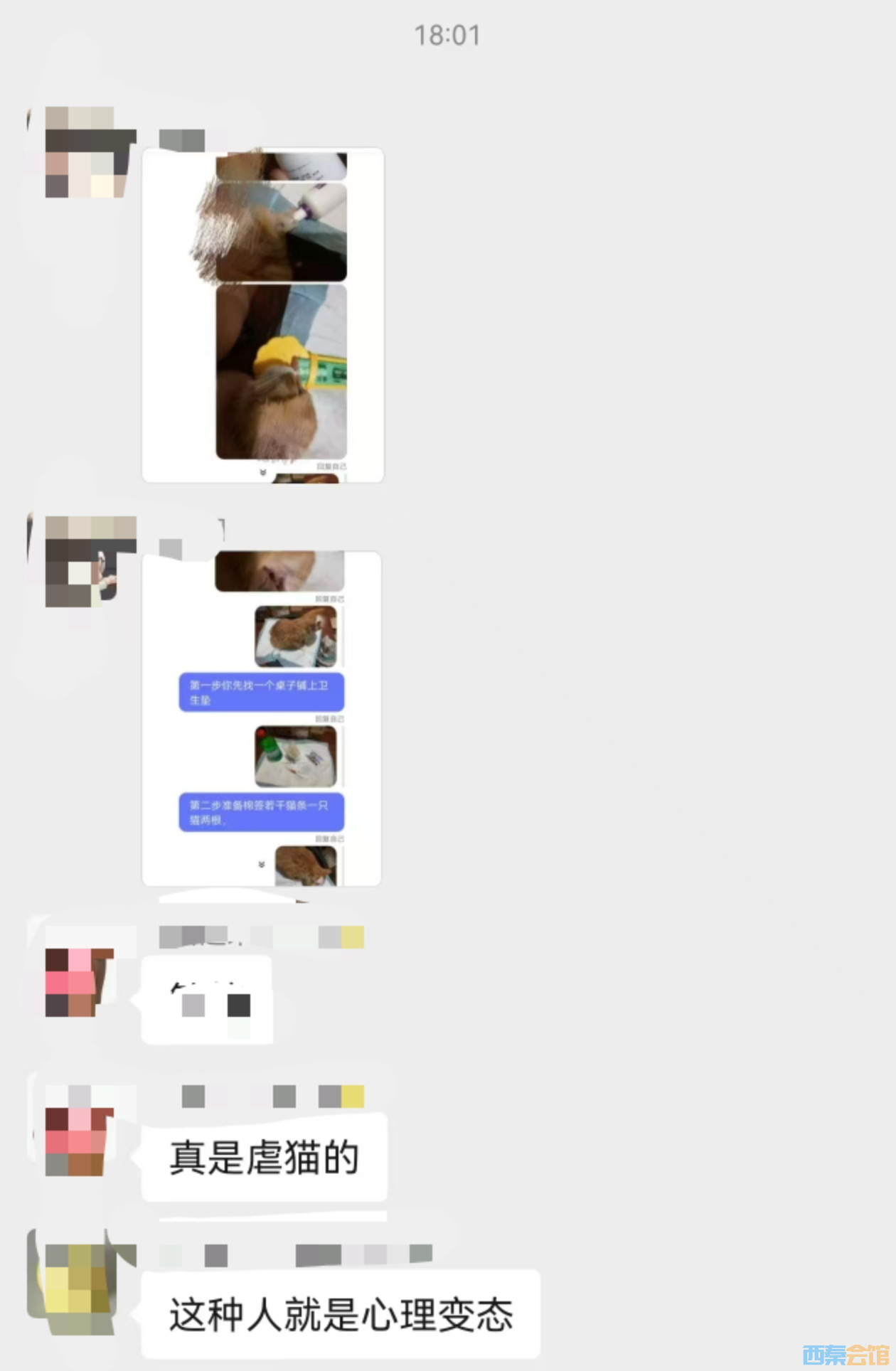 97.jpeg