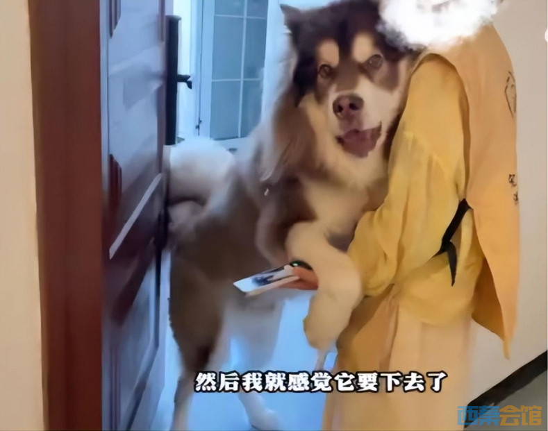΢Žͼ_20250923104026.png