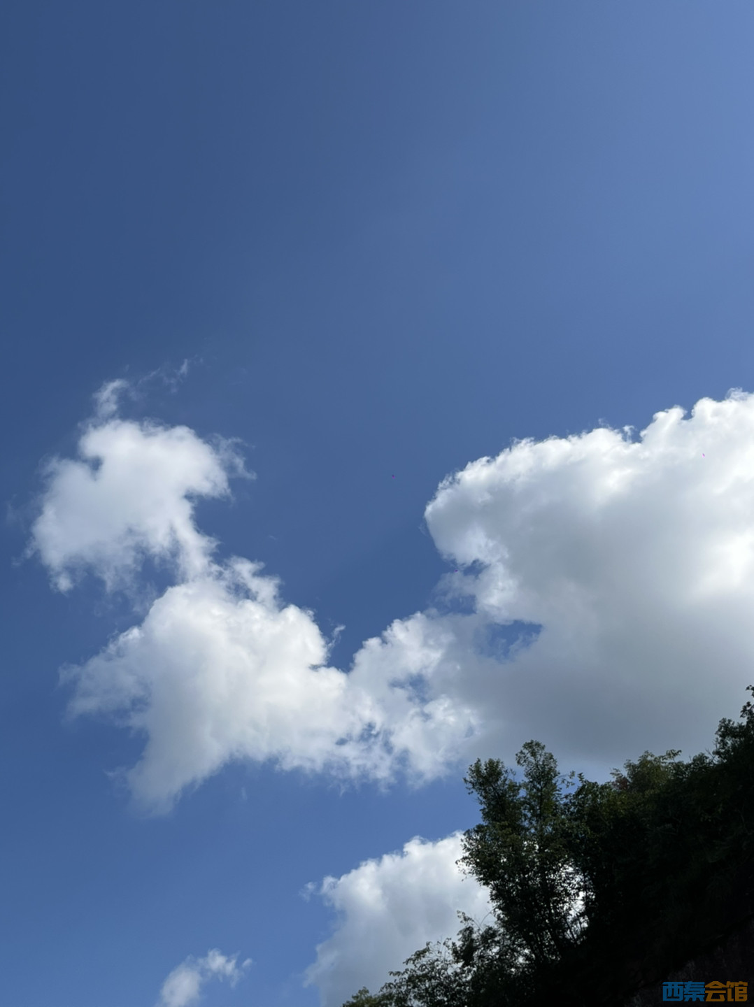 20250925144139front1_0_1740707_Fnymr-1VfMTXypY5X6SScMjQ8pvy.jpg