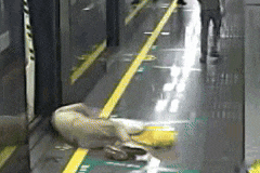 57131b4370e3d7a8a5cd93769e7d20dd~tplv-tt-origin-web_gif.gif