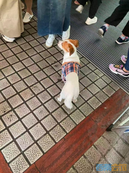 ΢Žͼ_20251003141917.png