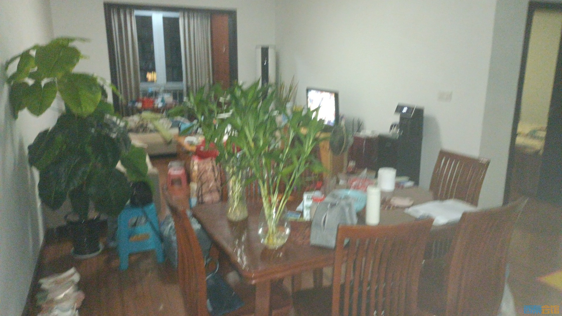 20251006000637front2_0_602228_Fr0MjuYQRRzYj_F9-VQ8_T2MXFO8.jpg