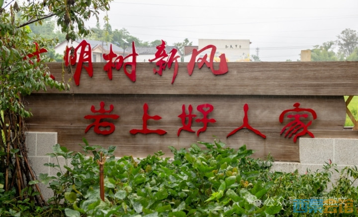 20251010213106front2_0_1552271_FujY4DX7Z7-vA94SMD9xmslskhup.jpg