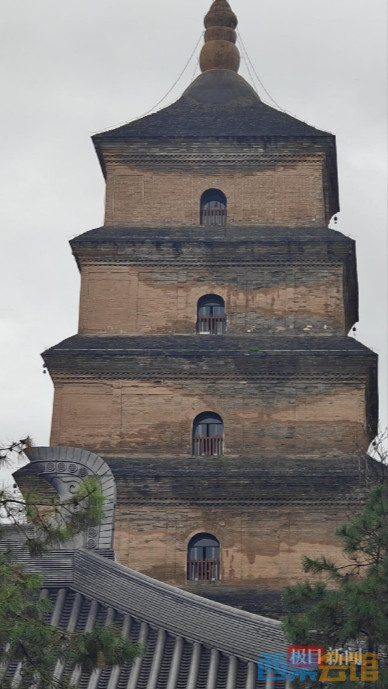 ΢Žͼ_20251013113435.png
