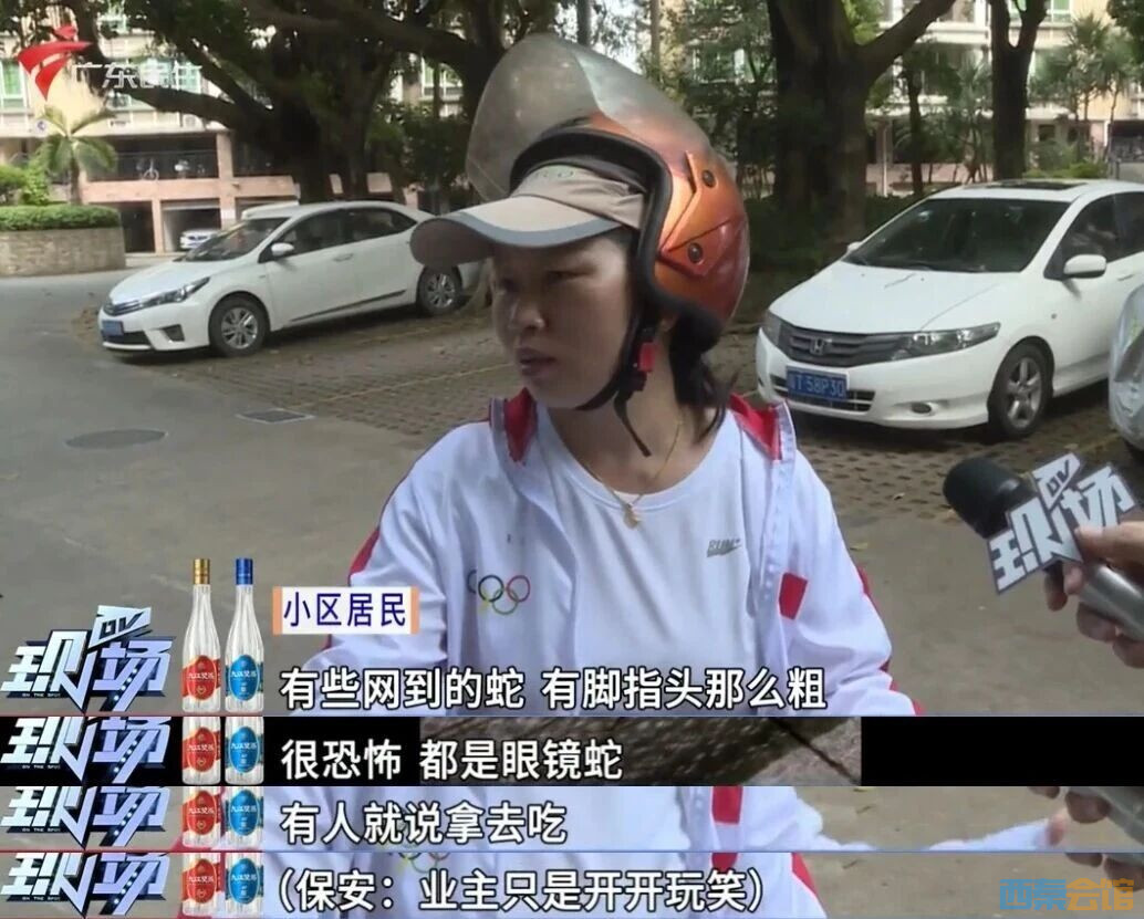 103.jpg