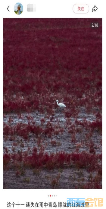 ΢Žͼ_20251014160700.png