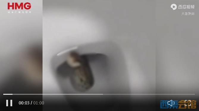 14.png