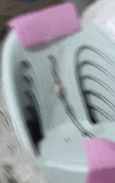 6876ff9928824850**1d1a94e3c875f~tplv-tt-origin-web_gif.gif