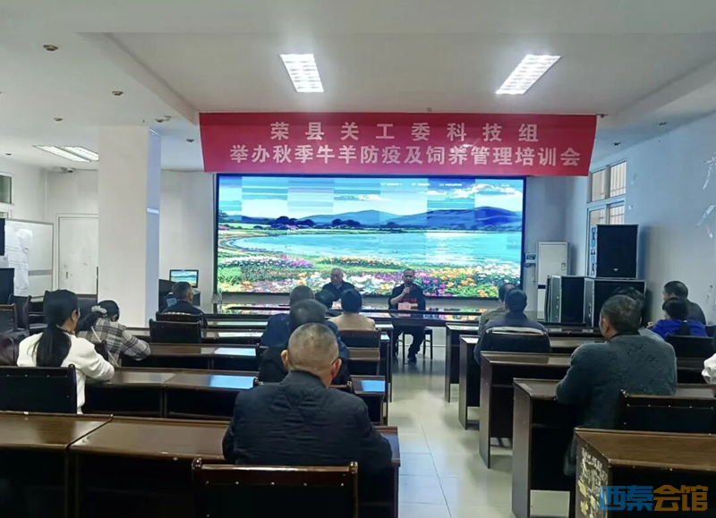 图片5.png 图片5.png