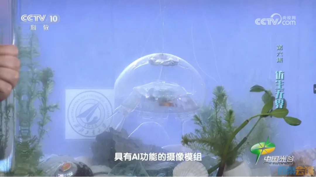 20251026132653front2_0_1555385_FsYWgSbG-dTgJ4zZvPDyzv9eHEMe.png 20251026132653front2_0_1555385_FsYWgSbG-dTgJ4zZvPDyzv9eHEMe.png