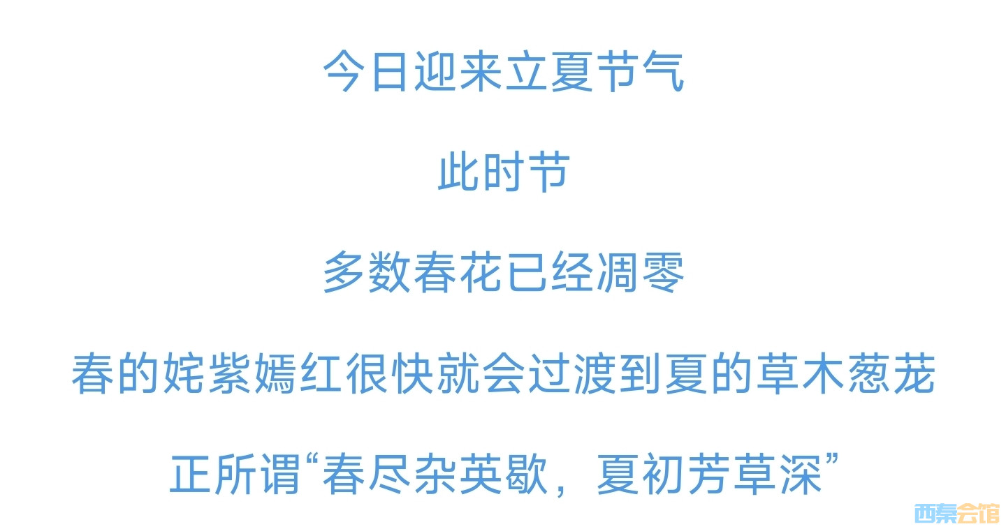 20260505102610front2_0_1552271_Fkiq8hsv9h33oT6NWRIE-zTFfXex.jpg
