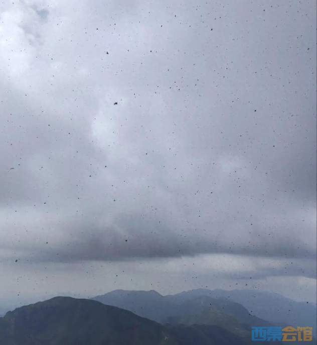 ScreenShot_2026-05-15_104553_861.png