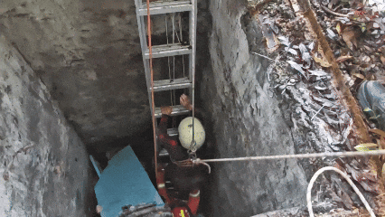 31.gif