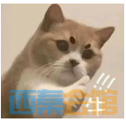 22.png