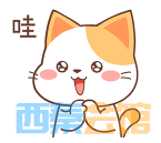 13.png