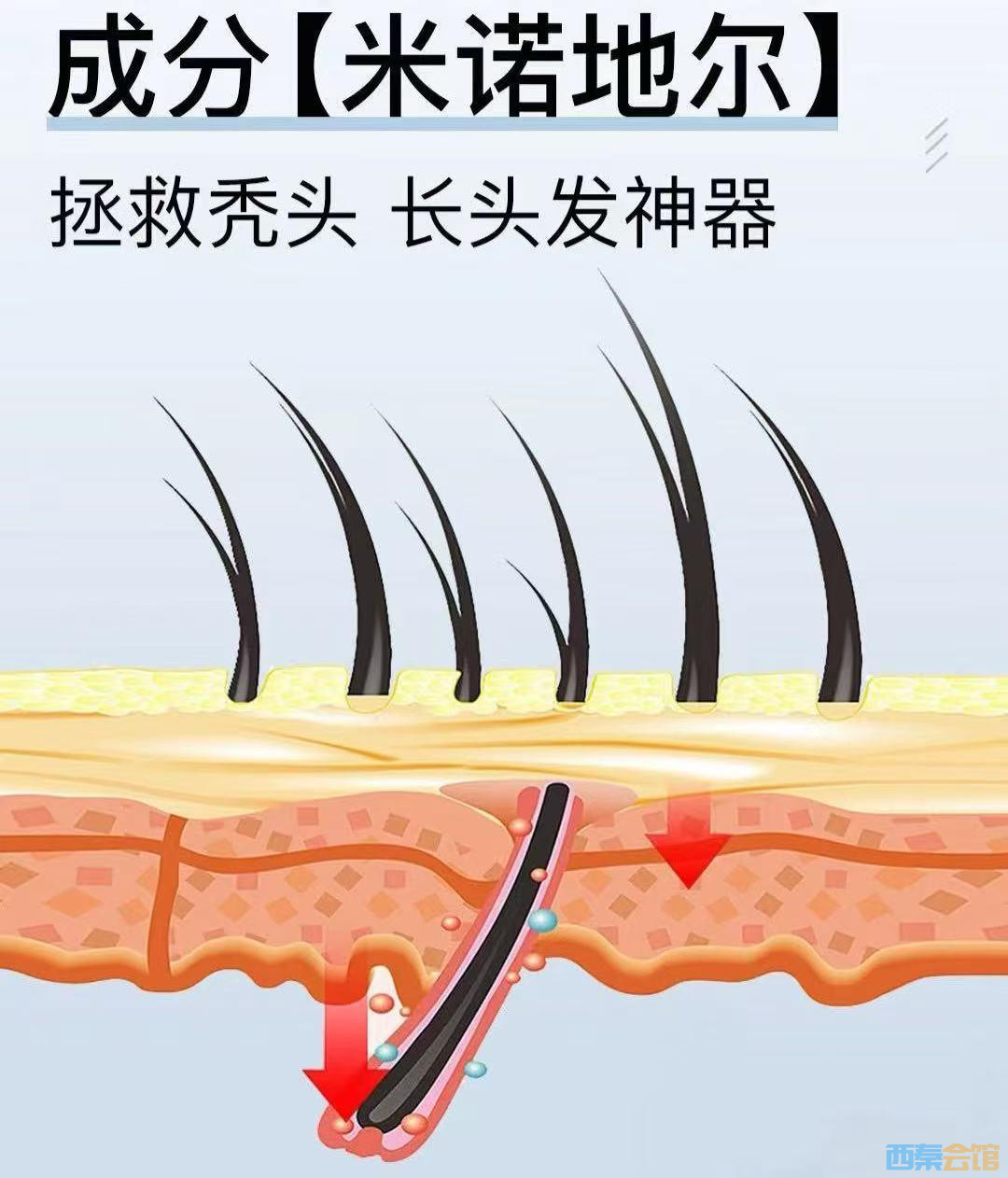 ͼƬ1.jpg