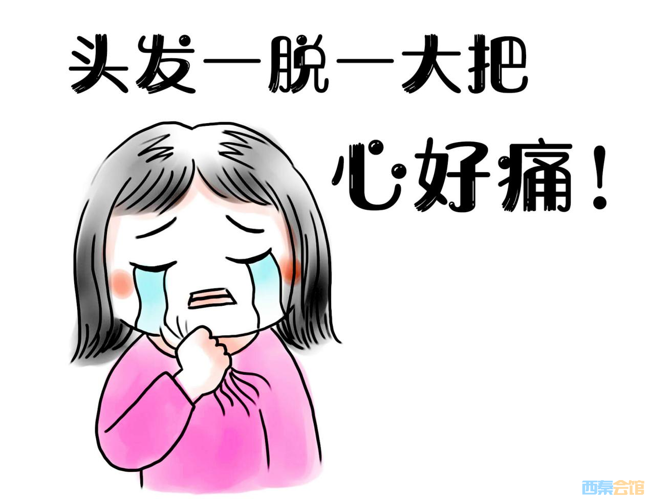 ͼƬ1.png