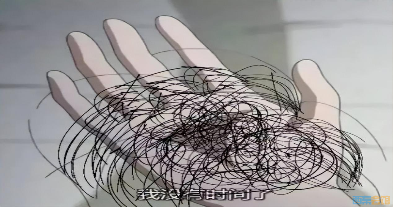ͼƬ1.png