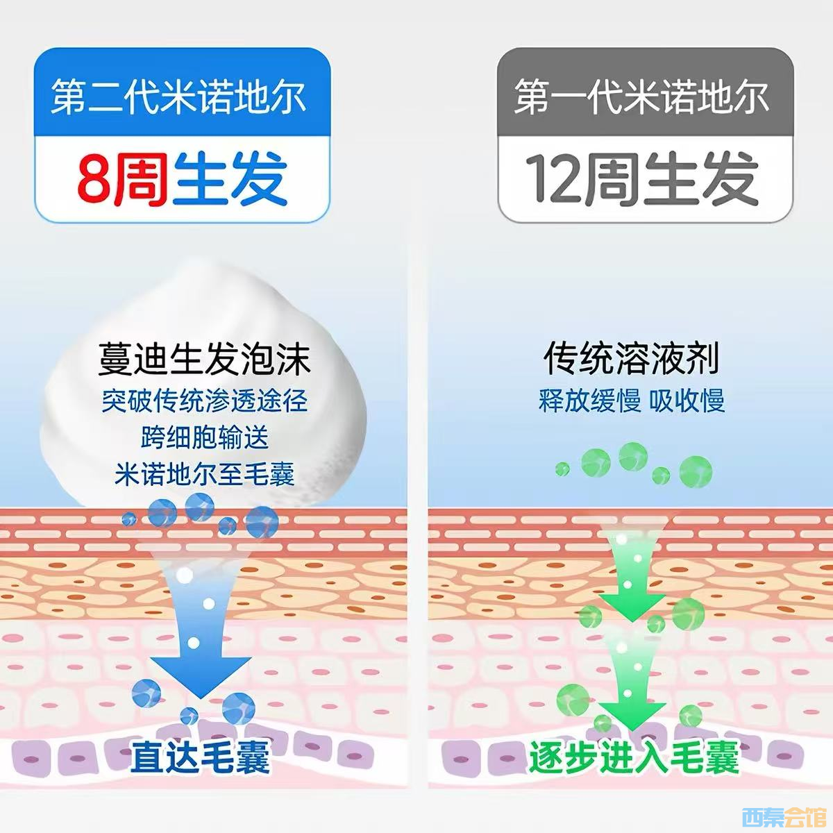 ͼƬ5.png