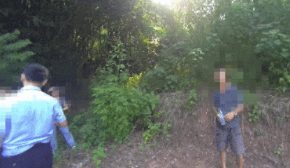 5.gif