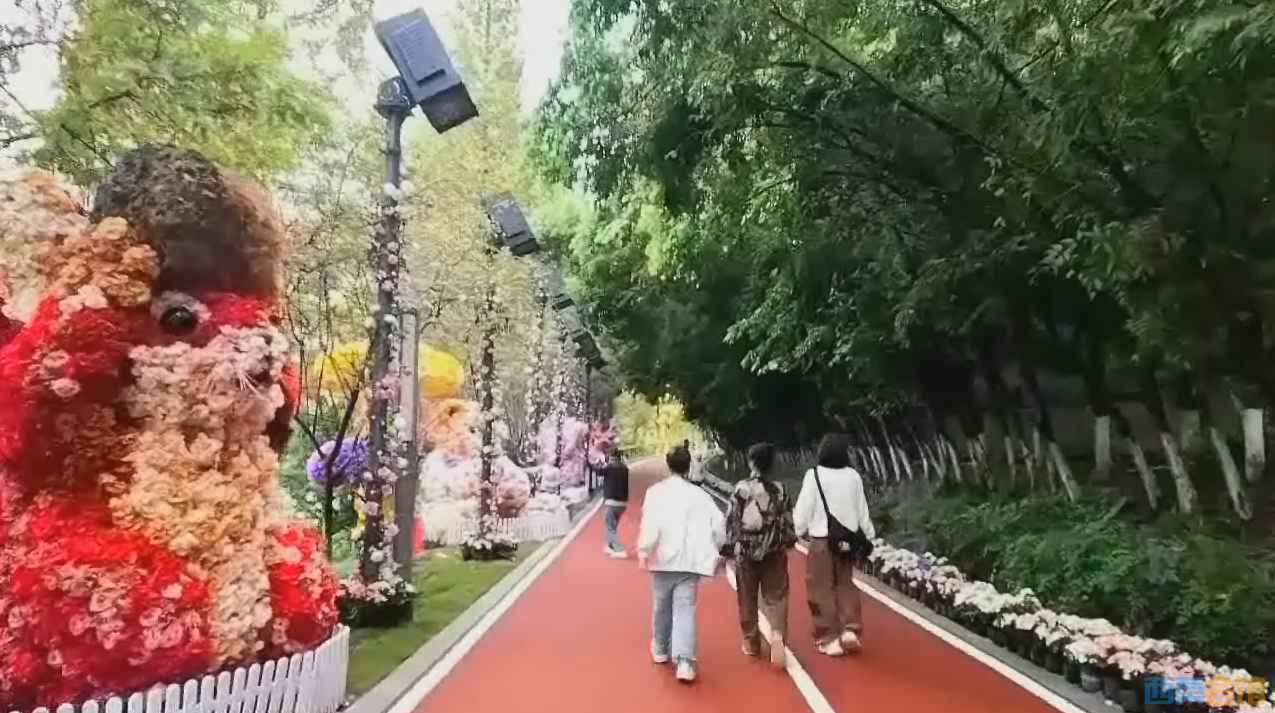 QQ��ͼ20260924132244.png