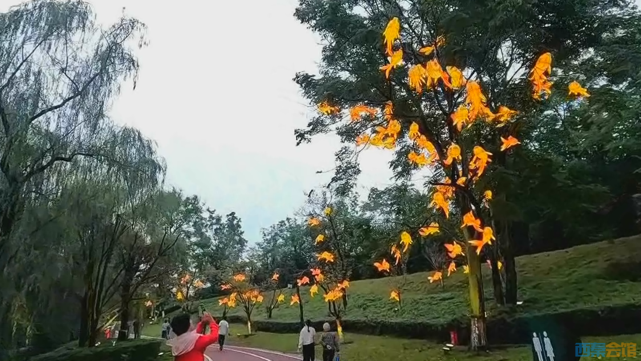 QQ��ͼ20260924132547.png