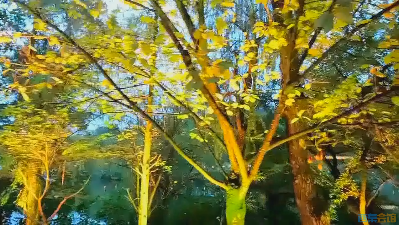 QQ��ͼ20260924133036.png