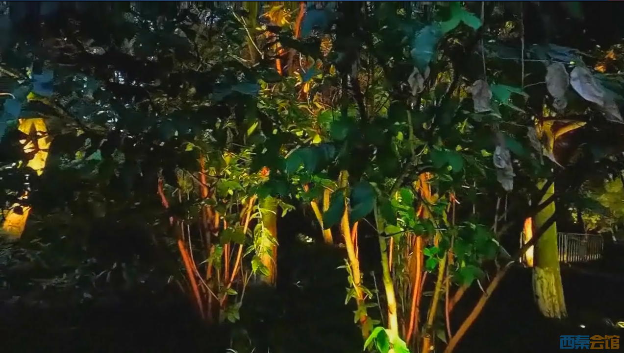 QQ��ͼ20260924133102.png