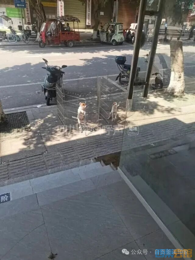 ΢��ͼƬ_2026-10-13_103318_273.jpg