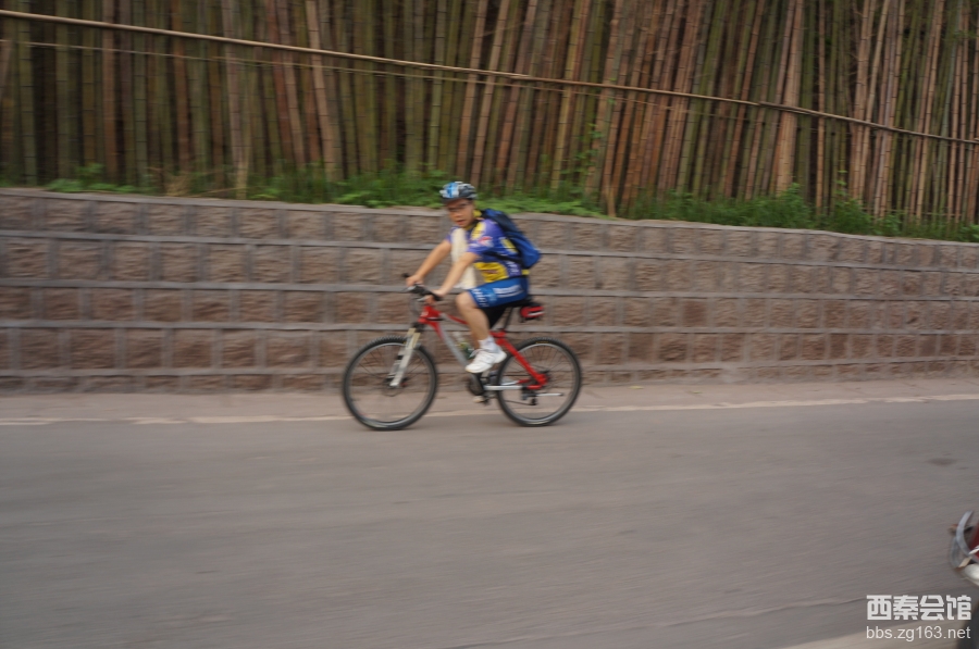 1223_396914_857a82157d785d9.jpg