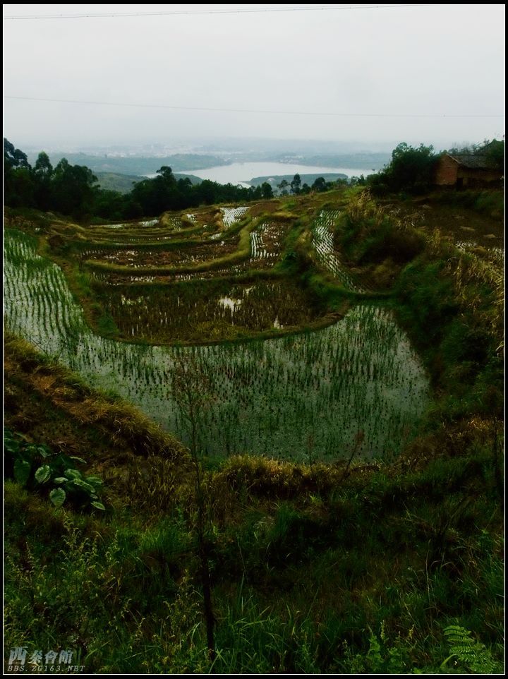 2010 10 1 榮縣東興 → 雙溪水庫-西秦會館 - 自貢在線